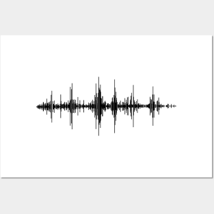 sound wave graphic audiology ear doctor Posters and Art